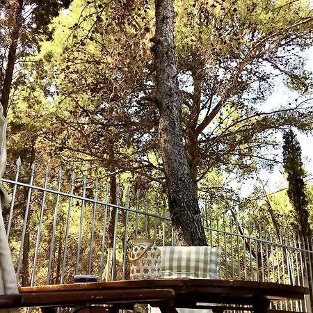 Malibu Studios & Apartments ラッシ エクステリア 写真